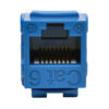Tripp Lite series Cat6/Cat5e 110 Style Punch Down Keystone Jack - Blue, TAA