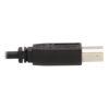 Tripp Lite series Dual DisplayPort KVM Cable Kit - DP, USB, 3.5 mm Audio (3xM/3xM) + DP (M/M), 4K, 4:4:4, 10 ft. (3.05 m), Black