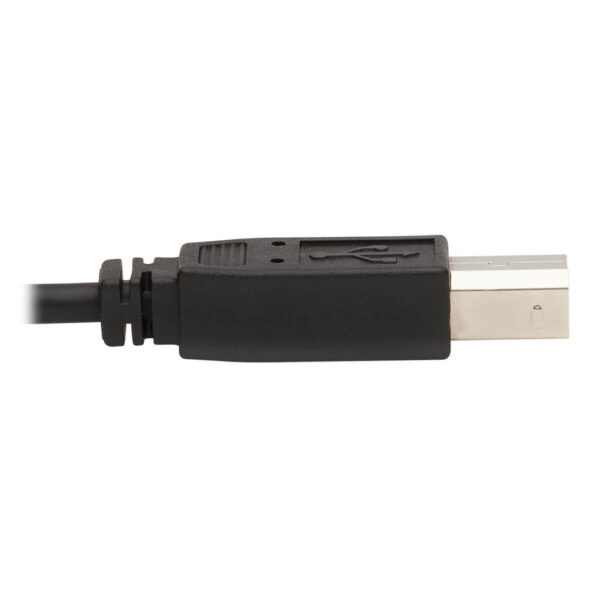 Tripp Lite series Dual DisplayPort KVM Cable Kit - DP, USB, 3.5 mm Audio (3xM/3xM) + DP (M/M), 4K, 4:4:4, 10 ft. (3.05 m), Black