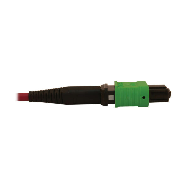 Tripp Lite series 40/100/400G Multimode 50/125 OM4 Breakout Fiber Optic Cable (16F MTP/MPO-APC to 8x Duplex SN-PC F/M), LSZH, Magenta, 2 m (6.6 ft.)