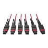 Tripp Lite MTP/MPO Multimode Base-8 Trunk Cable, 24-Strand, 40GB/100GB, 40/100GBASE-SR4, OM4 Plenum-Rated (3xF/3xF), Magenta, 61 m - N858-61M-3X8-MG