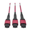 Tripp Lite 40/100Gb Fiber Breakout Patch Panel, 42 MTP QSFP to 168 LC Duplex OM4 50/125 Multimode Ports, 2U - N48K-42M8L168-B