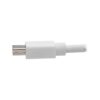 Tripp Lite series Keyspan Mini DisplayPort to DisplayPort Adapter Cable (M/F), 4K 60 Hz, DP 1.2, HDCP 2.2, 3 ft. (0.9 m)