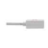 5212a2a68807c2e8a3c8b63e3eff9421 Tripp Lite series DisplayPort to Mini DisplayPort Adapter Video Converter , 4K 60 Hz (M/F), 6 in. (15.2 cm)