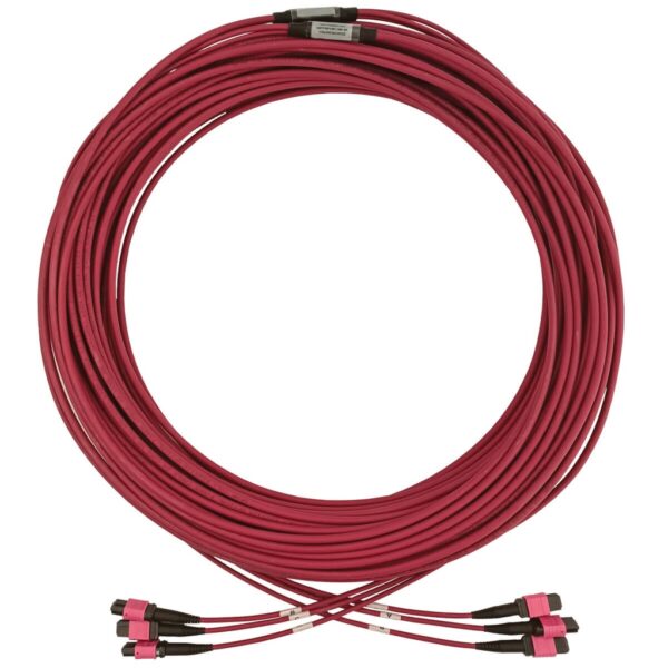 Tripp Lite series 40/100/400G Multimode 50/125 OM4 Fiber Optic Cable (3x8F MTP/MPO-PC F/F), LSZH, Magenta, 45 m (147.6 ft.)