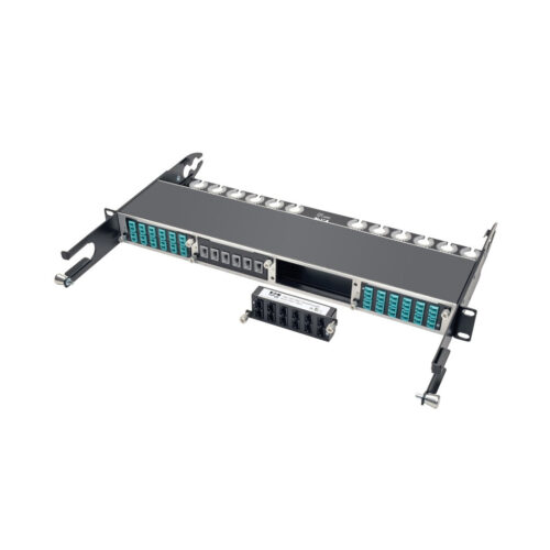 Tripp Lite series 100Gb/120Gb Pass-Through Cassette - (x12) 24-Fiber MTP/MPO ( Female )