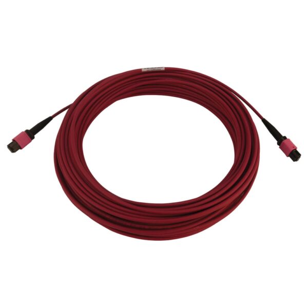 542a62962ac2d62ac182576e8d21764c Tripp Lite series 100G Multimode 50/125 OM4 Fiber Optic Cable (12F MTP/MPO-PC F/F), LSZH, Magenta, 20 m (65.6 ft.)