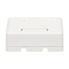 Tripp Lite series Surface-Mount Box for Keystone Jacks - 2 Ports, White, TAA