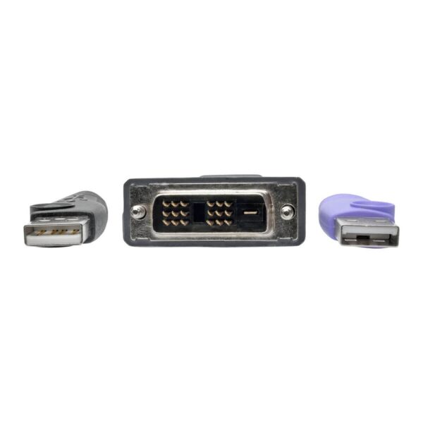 56295dc8494b6bad88bceb02541fb9aa Tripp Lite series NetDirector DVI USB Server Interface Unit with Virtual Media and CAC Support (B064-IPG Series), USB and DVI, TAA