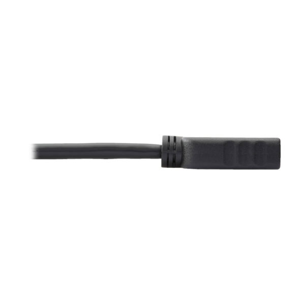 Tripp Lite series DisplayPort to HDMI Video Adapter Video Converter (M/F), HDCP, Black, 1 ft.