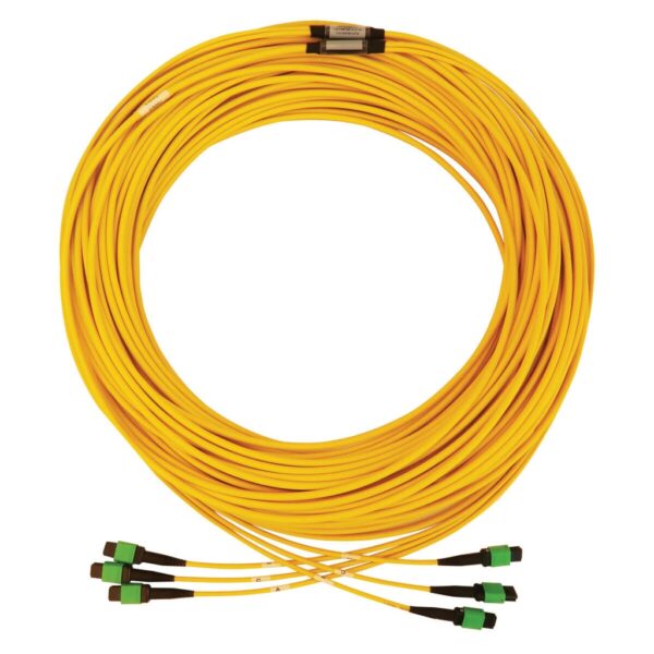5c718200106c5d791f08cd5dd3b0a407 Tripp Lite series 40/100G Singlemode 9/125 OS2 Fiber Optic Cable (3x8F MTP/MPO-APC F/F), LSZH, Yellow, 61 m (200 ft.)