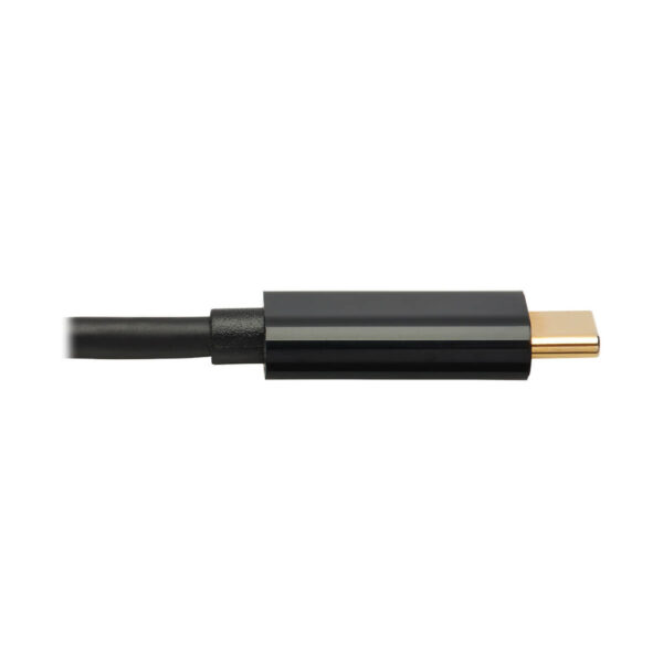 Tripp Lite series USB-C to HDMI Active Adapter Cable (M/M), 4K 60 Hz, 4:4:4, HDCP 2.2, Mid-Cable Adapter, Black, 10 ft. (3.1 m)