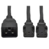Tripp Lite series Splitter Cable, Heavy-Duty, C20 to 2x C13 - 15A, 100-250V, 14 AWG, 2 ft. (0.61 m), Black