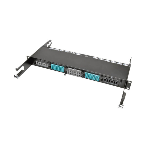 Tripp Lite series 40 GB Pass-Through Cassette, (x12) 12-Fiber MTP/MPO ( Female )
