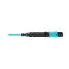 609fb69751dc7ba1d52e2bf7edd040aa Tripp Lite series 100G Multimode 50/125 OM4 Fiber Optic Cable (12F MPO/MPO-PC F/F), Type-A Polarity, OFNP, Aqua, 10 m (32.8 ft.), TAA