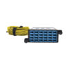 Tripp Lite 40/100Gb Fiber Breakout Cassette with Built-In MTP Cables, (x3) 8-Fiber Singlemode MTP/MPO to (x12) LC Duplex 9/125 - N482-3M8L12S-B