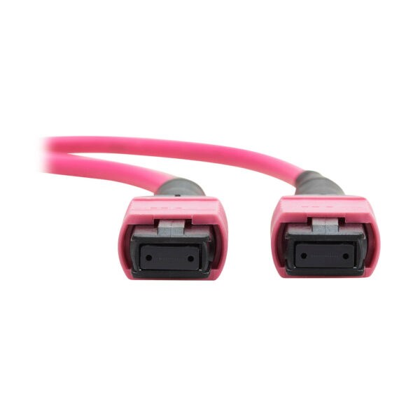 Tripp Lite series 100G Multimode 50/125 OM4 Fiber Optic Cable (12F MTP/MPO-PC F/F), OFNP, Magenta, 2 m (6.6 ft.), TAA