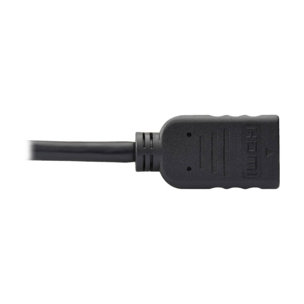 Tripp Lite series DisplayPort to HDMI Video Adapter Video Converter (M/F), HDCP, Black, 1 ft.