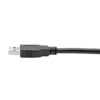 64d775cbfa53608c903d283dbf81e75a Tripp Lite series USB 3.0 SuperSpeed A to A Cable for USB 3.0 All-in-One Keystone/Panel Mount Couplers (M/M), Black, 6 ft. (1.8 m)