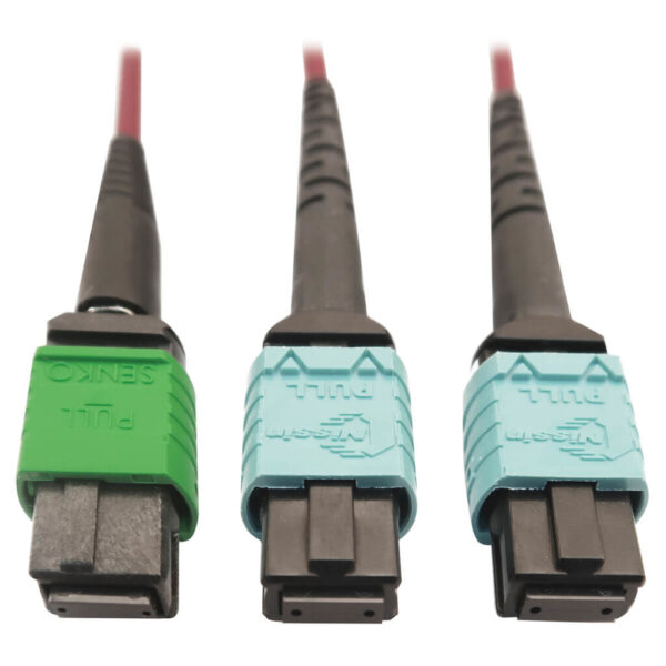 Tripp Lite series 400G Multimode 50/125 OM4 Plenum Fiber Optic Cable, 16F MTP/MPO-APC to (x2) 12F MTP/MPO-UPC (F/F), Magenta, 1 m