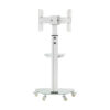 680702b918b303d1db7bbb0bbb894ac6 Tripp Lite series Premier Rolling TV Cart for 37” to 70” Displays, Frosted Glass Base and Shelf, Locking Casters, White