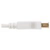 Tripp Lite series Safe-IT USB 2.0 Antibacterial Extension Cable (A M/F), USB 2.0, White, 6 ft. (1.83 m)