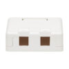 Tripp Lite series Surface-Mount Box for Keystone Jacks - 2 Ports, White, TAA