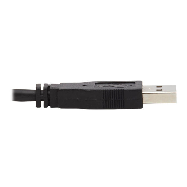 Tripp Lite series Dual DisplayPort KVM Cable Kit - DP, USB, 3.5 mm Audio (3xM/3xM) + DP (M/M), 4K, 4:4:4, 10 ft. (3.05 m), Black