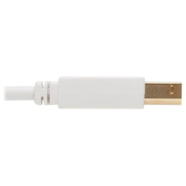 6bfd4ba22bb0085f4849a35356502a11-1 Tripp Lite series Safe-IT USB 2.0 A to B Antibacterial Cable (M/M), White, 6 ft. (1.83 m)