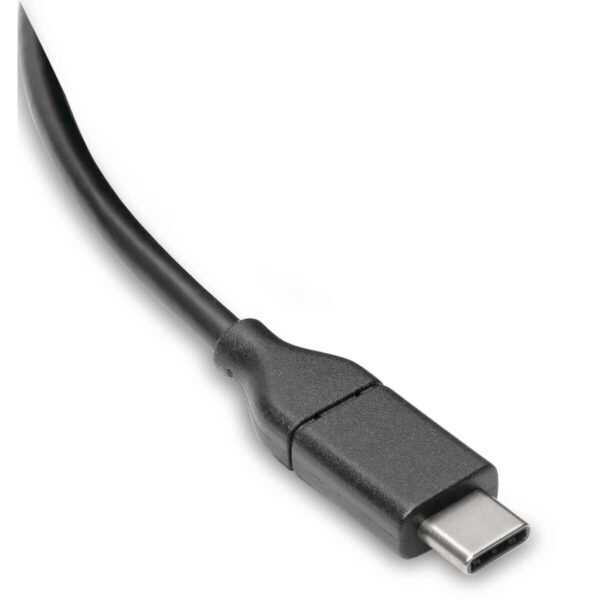 Tripp Lite series USB-C Cable (M/M) - USB 2.0, 5A (100W) Rated, 6 ft. (1.83 m)