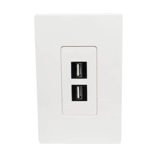 6de37de3d86e30424750ae2c48b3bd58 Tripp Lite series 2-Port Keystone Single-Gang Faceplate, White, TAA