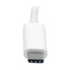 Tripp Lite series USB-C to DVI Adapter with Alternate Mode - DP 1.2, White