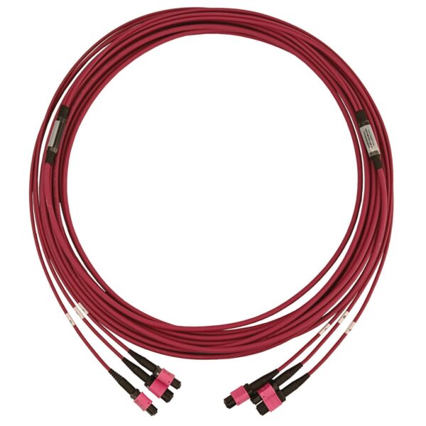 Tripp Lite series 40/100/400G Multimode 50/125 OM4 Fiber Optic Cable (3x8F MTP/MPO-PC F/F), LSZH, Magenta, 10 m (32.8 ft.)