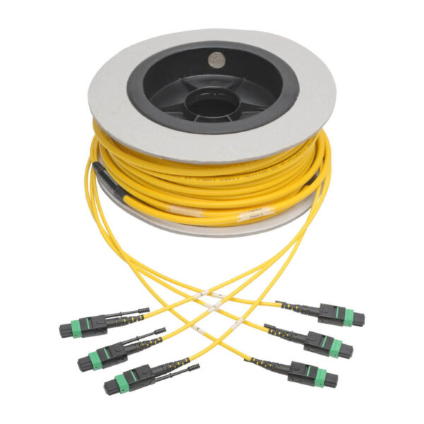 Tripp Lite series MTP/MPO (APC) Singlemode Slim Trunk Cable, 24-Strand, 40/100 GbE, 40/100GBASE-PLR4, Plenum, 6mm Dual Jacket, 23 m (75 ft.)