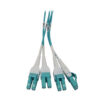 Tripp Lite series Preloaded Fiber Panel, 1U - 6x (4x LC/LC Duplex M/M) 8F Trunk Cables, OM4 Multimode, 10 m (32.8 ft.)