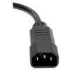 Tripp Lite series PDU Power Cord, C13 to C14 - 10A, 250V, 18 AWG, 1 ft. (0.31 m), Black