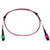 733f4e73d205ce00be8fa2d16c96c40d Tripp Lite series 400G Multimode 50/125 OM4 Plenum Fiber Optic Cable, 16F MTP/MPO-APC to MTP/MPO-UPC (F/F), Magenta, 1 m