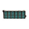 771dc1e073c2e05d998703b9ad376e21 Tripp Lite series 10GbE Pass-Through Cassette - (x12) LC Duplex