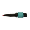 Tripp Lite series 40/100/400G Multimode 50/125 OM4 Breakout Fiber Optic Cable (12F MTP/MPO-PC to 4x Duplex SN-PC F/M), LSZH, Magenta, 2 m (6.6 ft.)