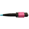7949222a09a2967bc87b5f3b60895925 Tripp Lite series 400G Multimode 50/125 OM4 Plenum Fiber Optic Cable, 24F MTP/MPO-UPC to 16F MTP/MPO-UPC (F/F), Aqua, 5 m