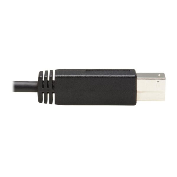 Tripp Lite series USB-C to USB-B Cable (M/M) - USB 3.2 Gen 2 (10 Gbps), Thunderbolt 3 Compatible, 20 in. (51 cm)