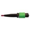 7c7778a6e28cbe2fece3e5dca88cea2c-1 Tripp Lite series 400G Multimode 50/125 OM4 Plenum Fiber Optic Cable, 16F MTP/MPO-APC to MTP/MPO-UPC (F/F), Magenta, 1 m