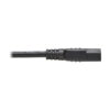 7c7c3001ff242ec8fd604b373441d453 Tripp Lite series Computer Power Cord, NEMA 5-15P to C13 - 10A, 125V, 18 AWG, 1 ft. (0.31 m), Black