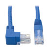 7ec4d9bc04fc0ae90c6c9ff896883ff4 Tripp Lite series Up-Angle Cat6 Gigabit Molded UTP Ethernet Cable (RJ45 Right-Angle Up M to RJ45 M), Blue, 1 ft. (0.31 m)