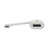 7ee1b267b255746a954978e492a988e9 Tripp Lite series USB-C to Displayport 4K 60Hz Adapter, White