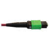 7f2956eb0f82cc0765829d7ab1ba6063 Tripp Lite series 400G Multimode 50/125 OM4 Plenum Fiber Optic Cable, 16F MTP/MPO-APC to 24F MTP/MPO-UPC (F/F), Magenta, 5 m