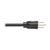 7f322ca9db439ef54275b6901d536ba2 Tripp Lite series Computer Power Cord, NEMA 5-15P to C13 - 10A, 125V, 18 AWG, 1 ft. (0.31 m), Black
