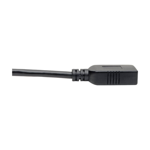 7f9780fbe124ea1111510c64770cc98b Tripp Lite series USB-C to USB-A Adapter (M/F), USB 3.2 Gen 1 (5 Gbps), USB-IF Certified, Thunderbolt 3 Compatible, 6-in. (15.24 cm)