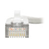 Tripp Lite series 2-to-1 RJ45 Network Signal Splitter (M/2xF) - 10/100 Mbps Ethernet, Cat5/Cat5e, 6 in. (15 cm)