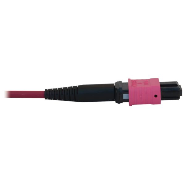 8275e83f961153f038cc80af086e1bff Tripp Lite series 100G Multimode 50/125 OM4 Fiber Optic Cable (12F MTP/MPO-PC F/F), LSZH, Magenta, 20 m (65.6 ft.)